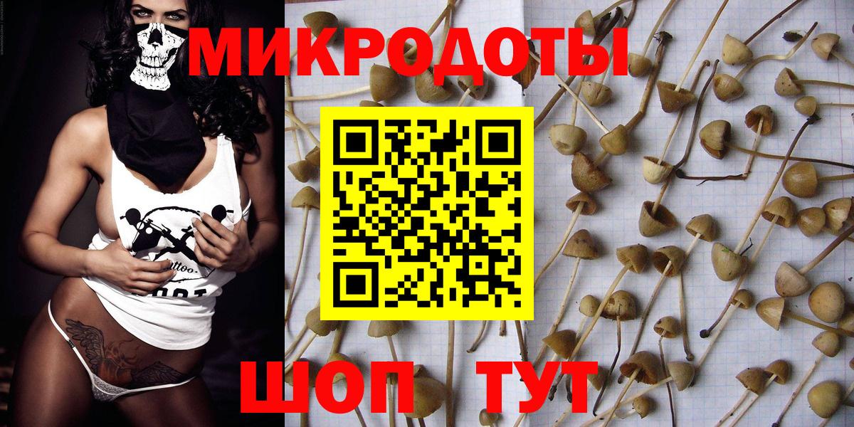 Псилоцибиновые грибы MAGIC MUSHROOMS  наркотики  Керчь  Вход с VPN 