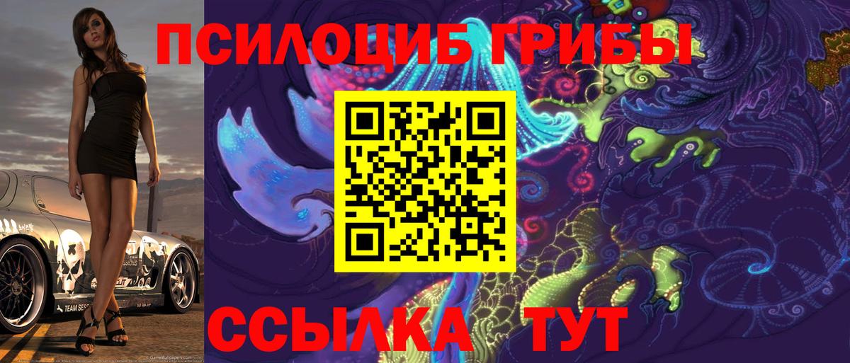 Псилоцибиновые грибы Cubensis Керчь